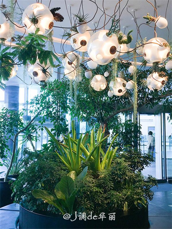 日本旅行情人节,春节在日本旅游购物