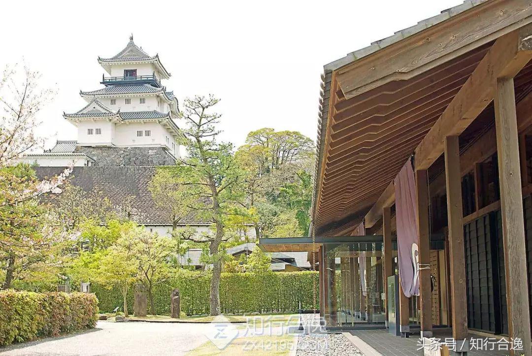 草莓补给，初春十里茶园为赛道，来挂川喝茶跑马！