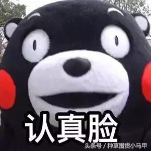 假代购常用骗术,代购骗术大揭秘