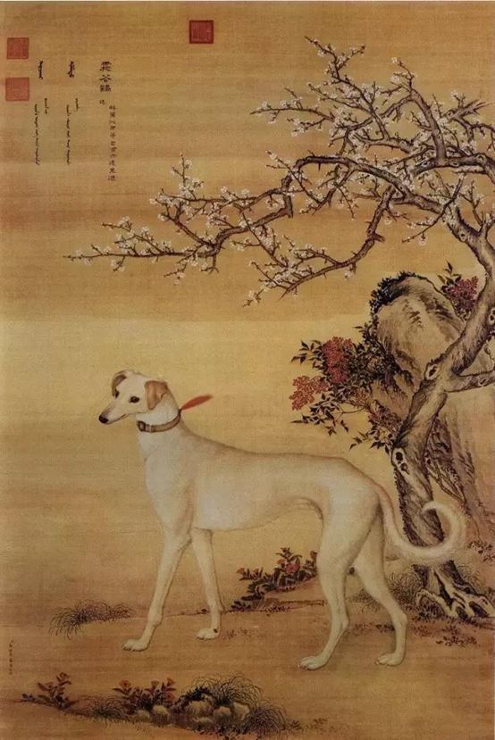 瑞狗迎春金狗纳福,瑞犬纳福2018年