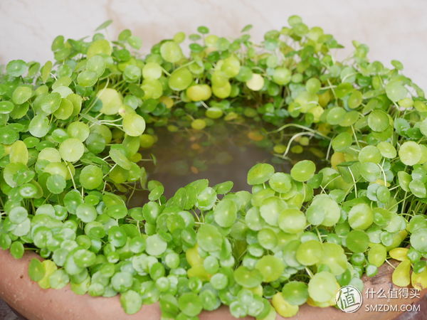 松下gx85和奥林巴斯ep5对比,松下gx85微单入门教程