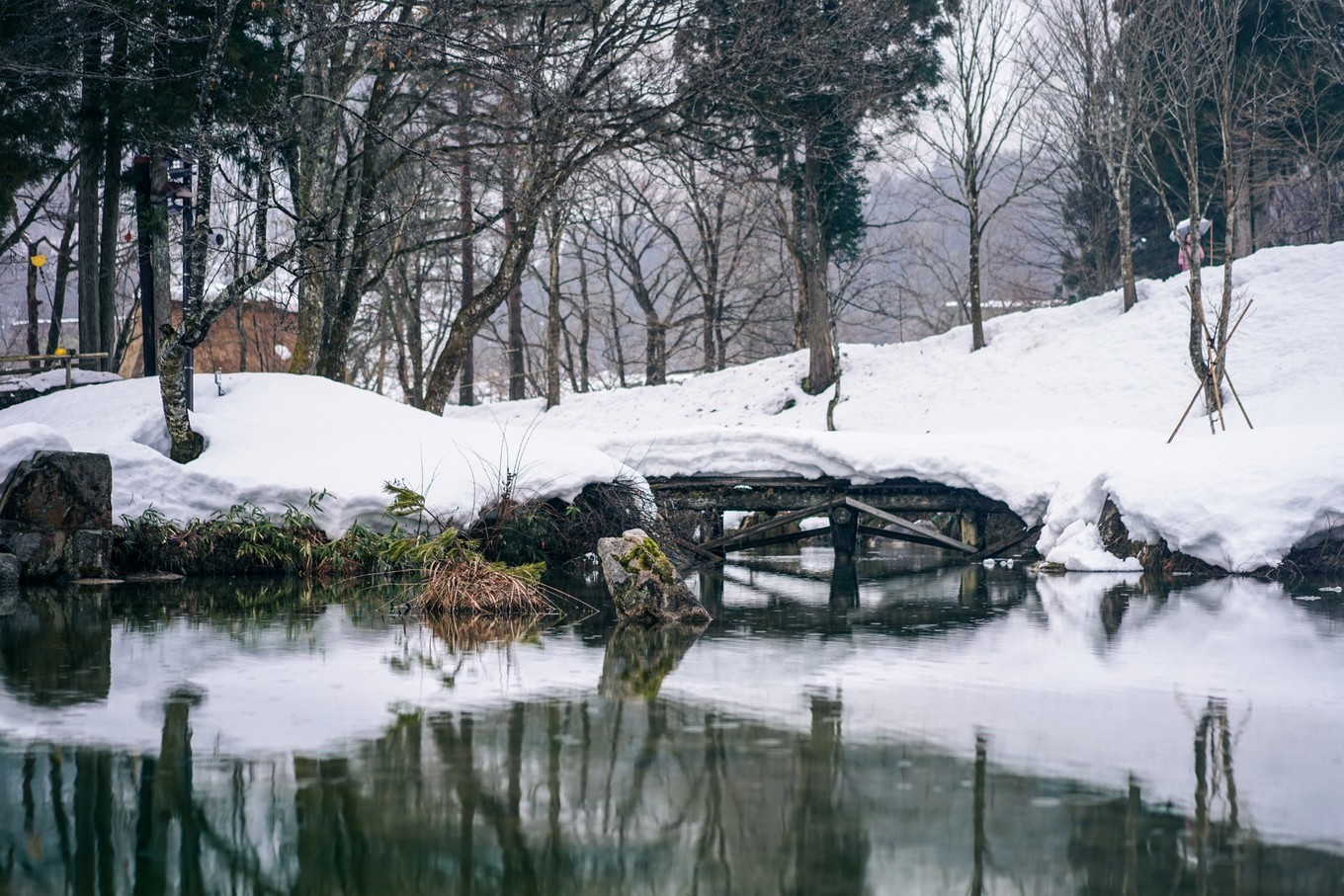 handycam,handycam亲子游