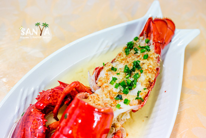 三亚离海南有多少公里,三亚一生去几次