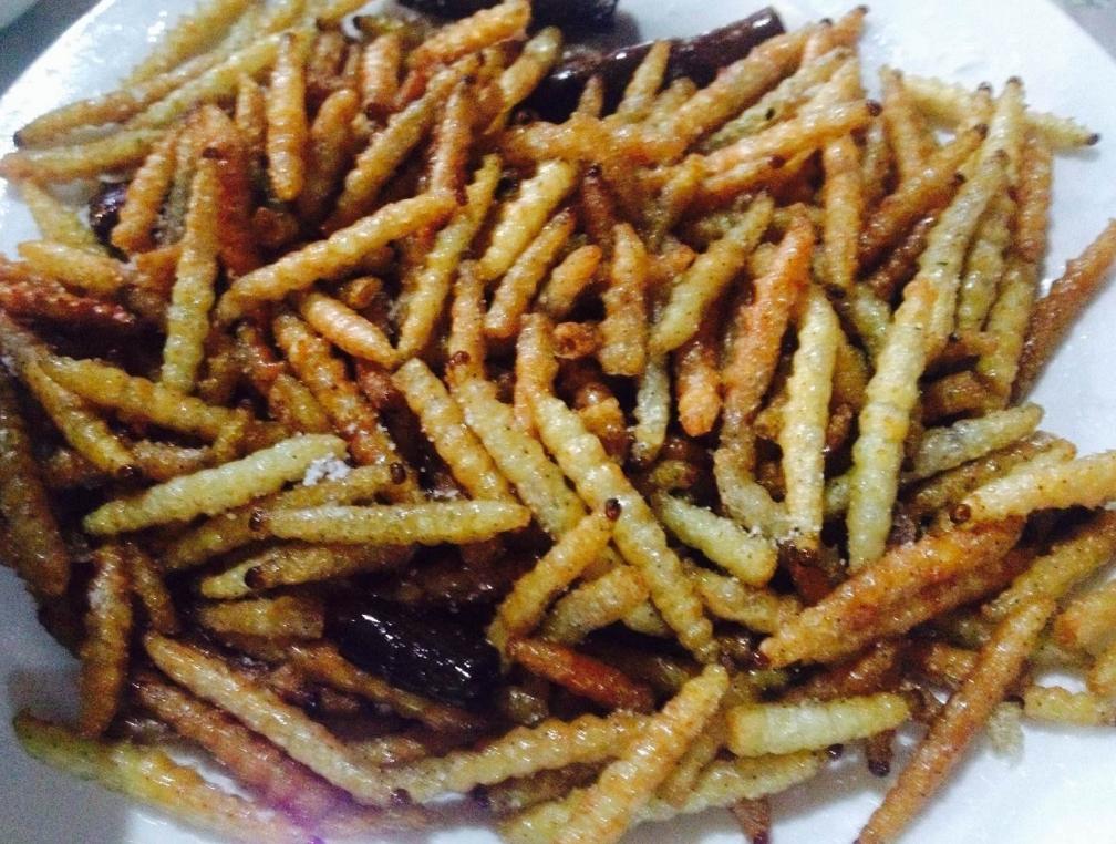 新春旅行去哪里,新春出游目的地