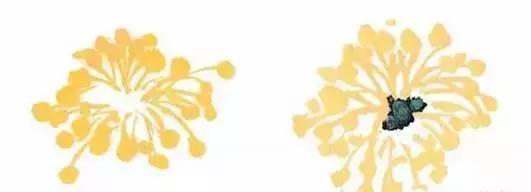 果果小写意牡丹画法教学视频,王绣写意牡丹画法零基础视频