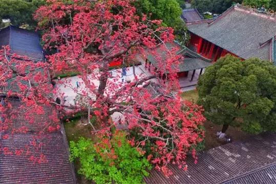 春节广州景点,广州特惠旅游景点推荐