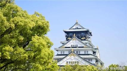 尼康d5500什么时候出的,尼康d5500拍摄视频教程