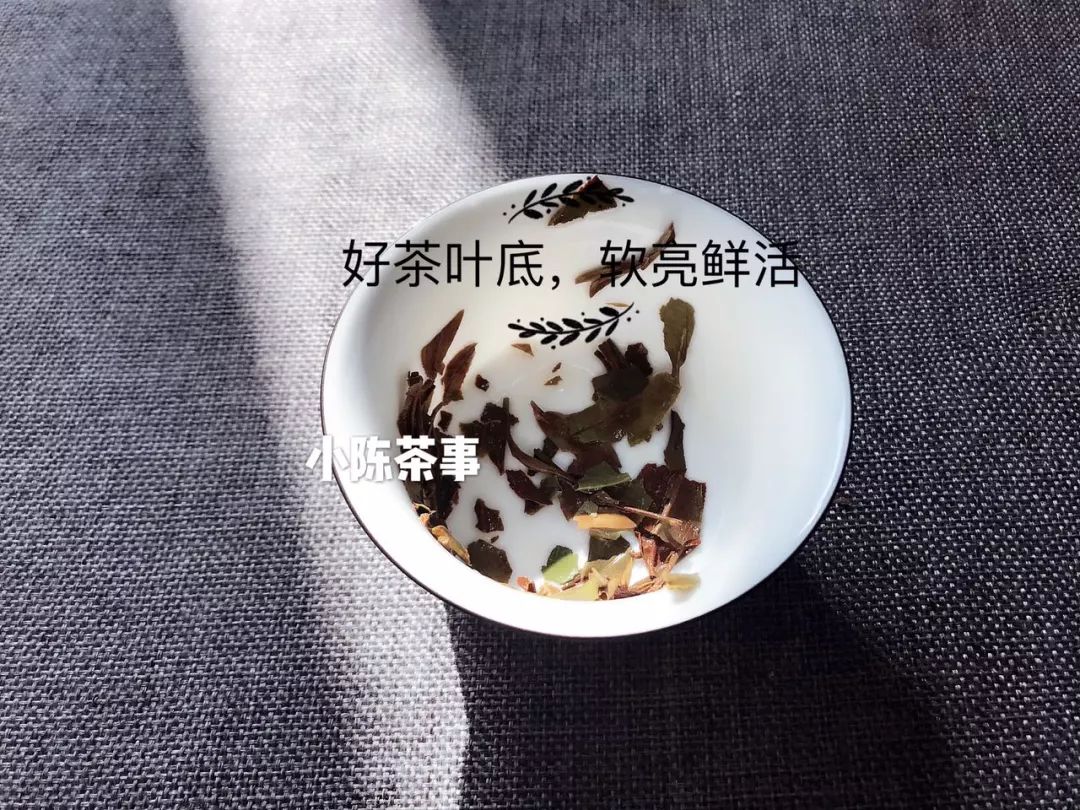 六种茶叶入门方法,茶叶叶底的秘密