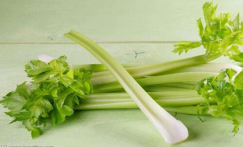 毒木耳的特征和禁忌,鲜木耳有毒的原因