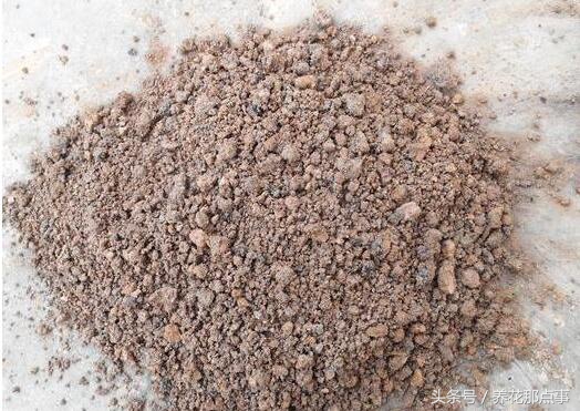 盆栽板结的土壤怎样改良,盆栽土种什么防止板结