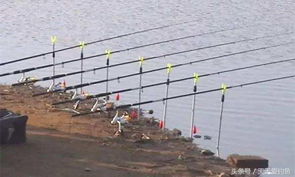 钓大鲫鱼绝招最佳方法,冬季钓鲫鱼大水面如何打窝