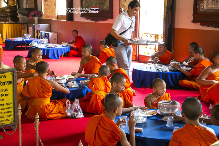 清迈佛寺之城等你采撷的泰北玫瑰,清迈环球旅行家