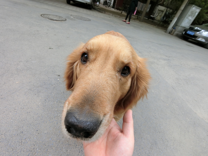 卡西欧fr-100,卡西欧ex-fr100怎么旋转