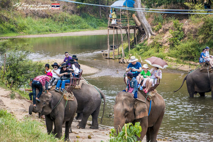 泰国清迈县旅行者,清迈佛寺之城等你采撷的泰北玫瑰