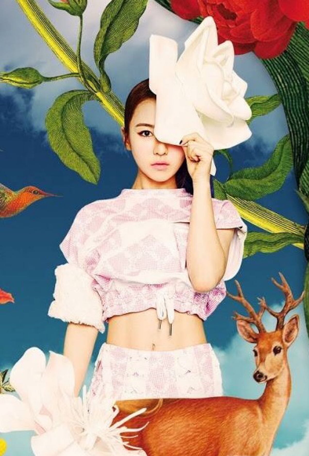 小圆脸的韩国女神,韩国小圆脸美女