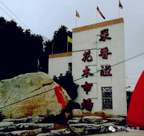 吐血整理干货满满建议收藏,苏州七天省钱攻略