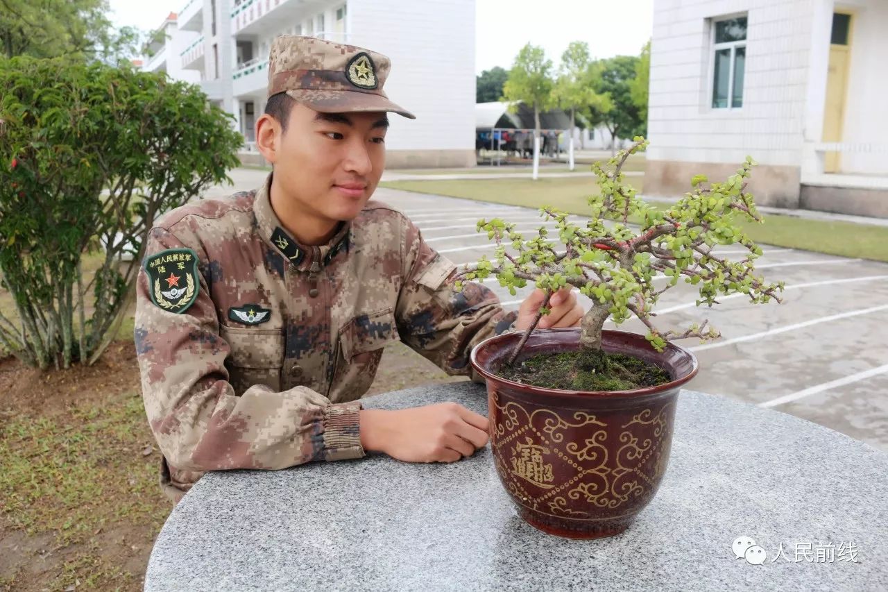 「策划」别天真了，士官哪有那么好当！