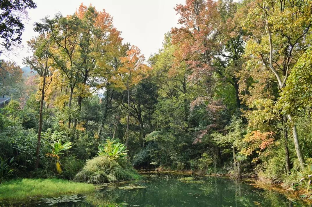 富阳可以带孩子游玩的地方,富阳适合带孩子玩的地方夏季