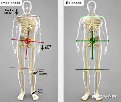 骨盆带疼痛腰痛区别,骨盆带痛