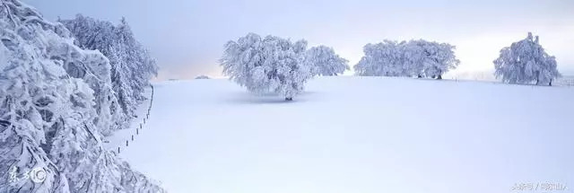 阿尔山冬天去还是夏天去,阿尔山看雪的最佳时间