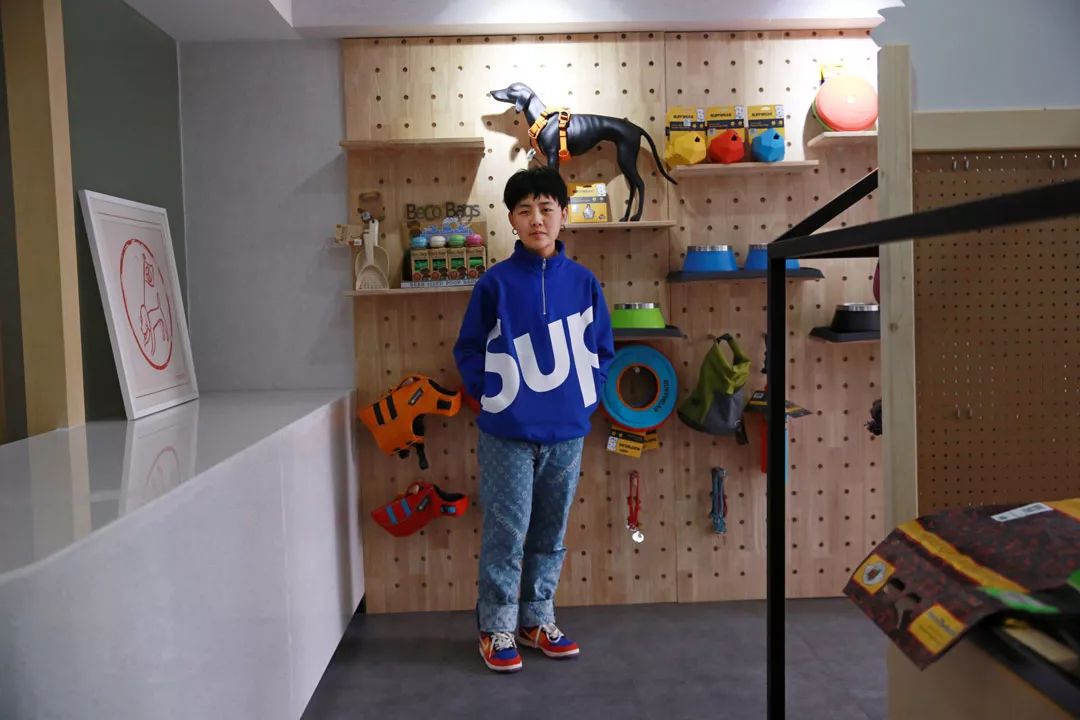 宠物竟然也有五星级酒店,高端宠物酒店推荐