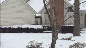 生孩子就是用来玩的经典句子,如果生孩子不是为了玩就毫无意义