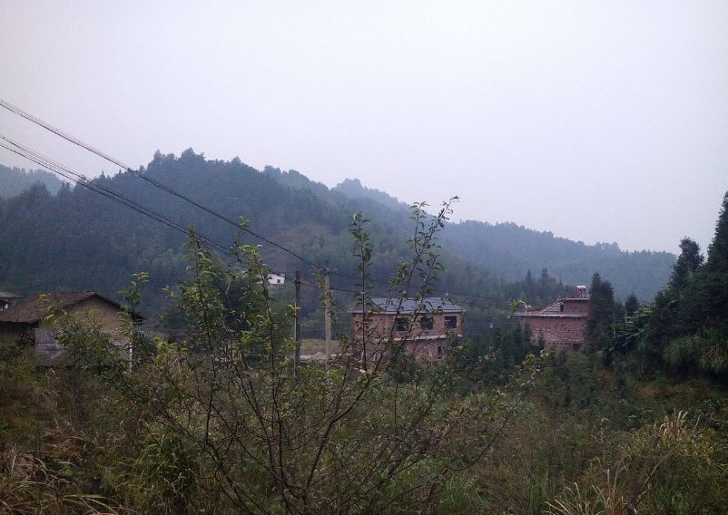 湖南株洲市炎陵县,湖南省株洲市炎陵县介绍