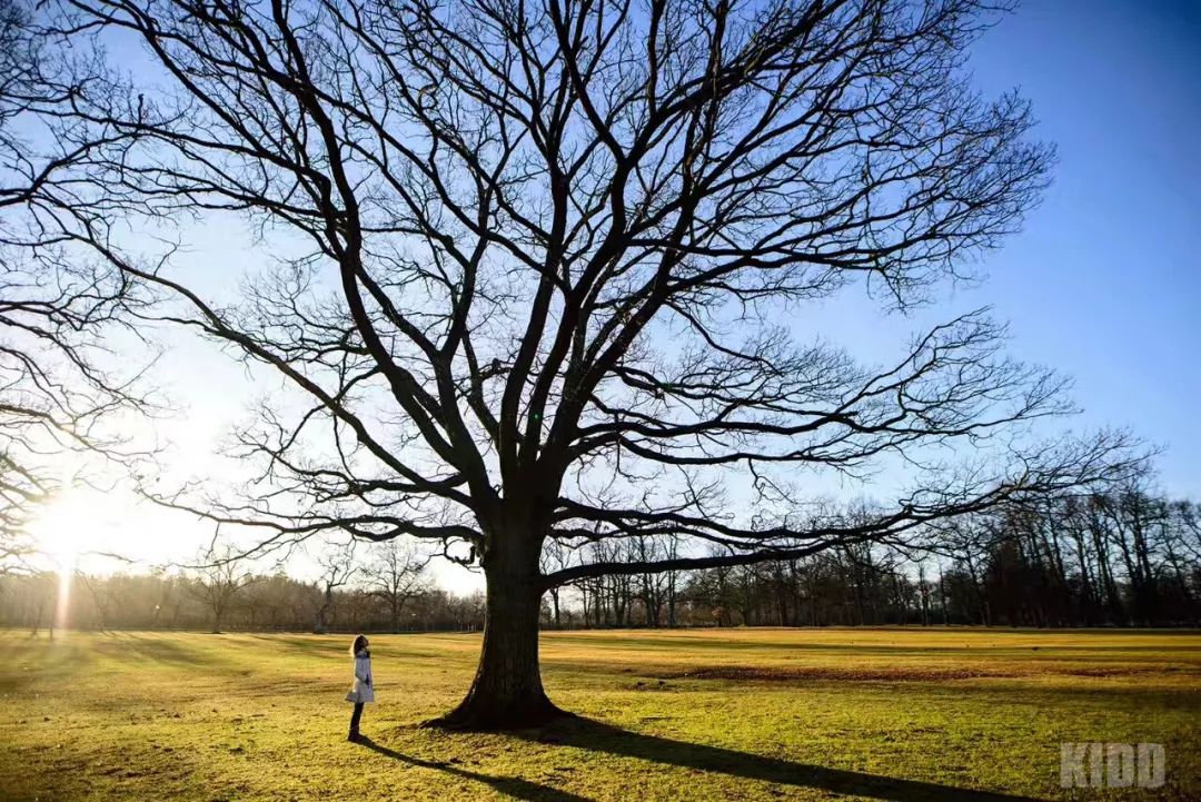 经常去旅行的人钱从哪来,去旅游的钱从哪里来的