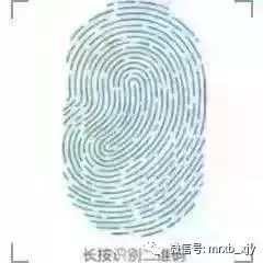 独家｜专访和平区政协副主席、和平区教育局局长张素华建设更美校园培养更优秀学生