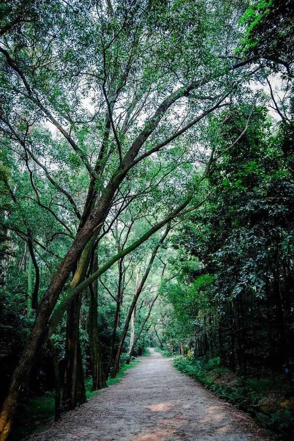 10涓ソ鐪嬬殑鑺辨捣鍦扮偣鎺ㄨ崘,蹇呭幓鑺辨捣鎺ㄨ崘娴极鑺辨捣