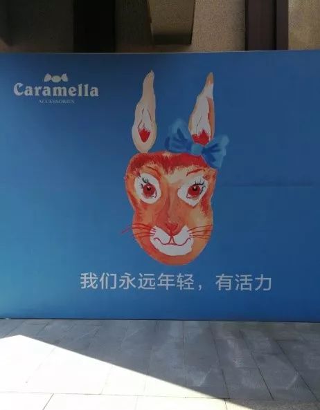 织梦工厂袜子,浙江大唐品牌袜子