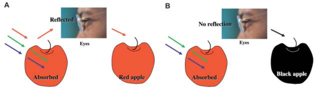 内镜检查痛苦吗,内镜检查是怎么做的