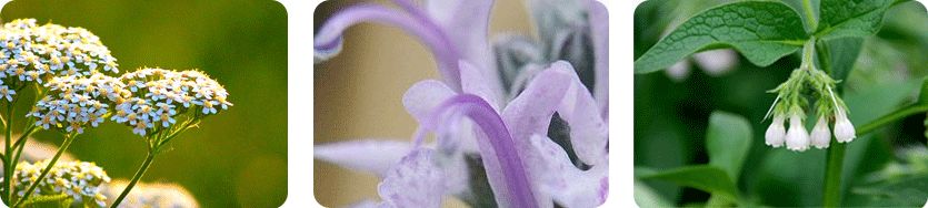 美护都有哪些品牌,女神节十大爆款买一赠一