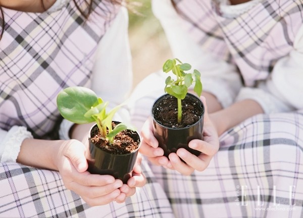 怎样才能和女朋友维持感情,如何当一个称职的女朋友