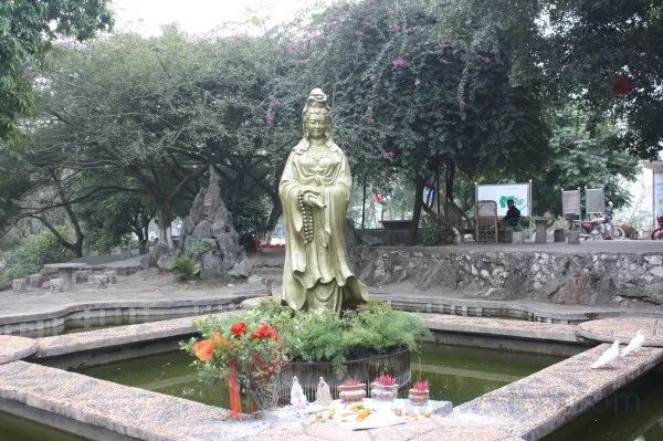 南宁景点热门视频排行榜,南宁十大好玩的免费景点