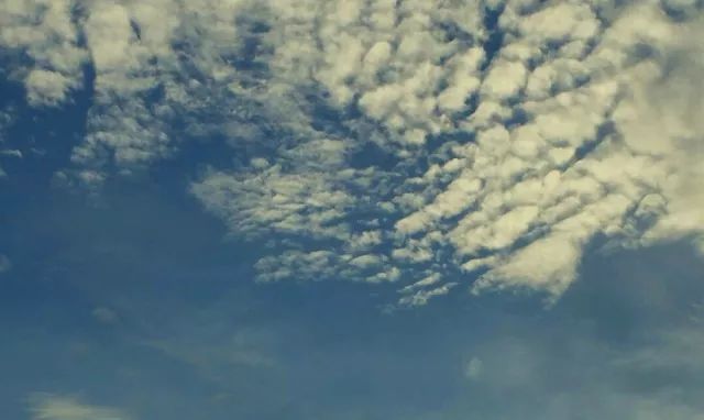 矫情文｜已为人妇的你，曾经也是个小公主！