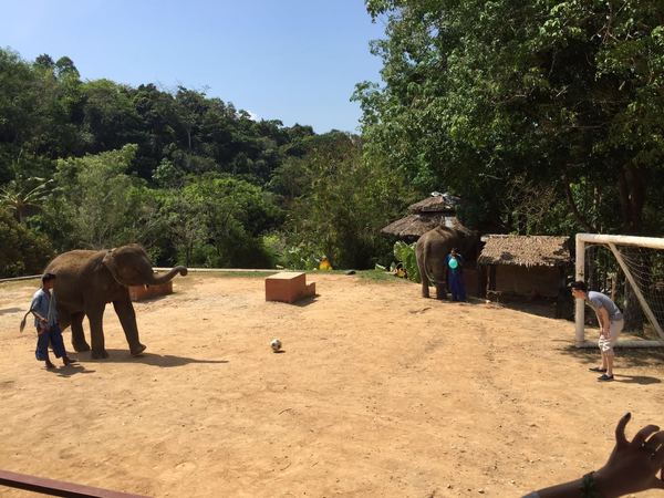 泰国普吉岛之旅美好回忆,普吉岛美好一天