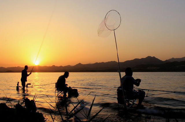 想钓获大黑鱼,赶快get这几个技巧!