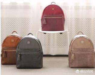 开学换新：学霸别走，带上你的新书包！