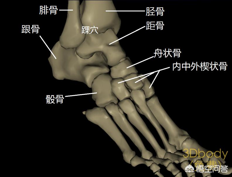 踝关节扭伤后要冷敷多少次,踝关节扭伤韧带损伤好治吗