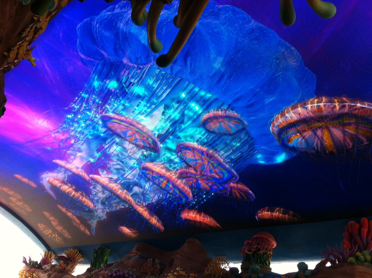 去珠海长隆海洋王国住哪里好,玩转珠海长隆海洋王国全攻略