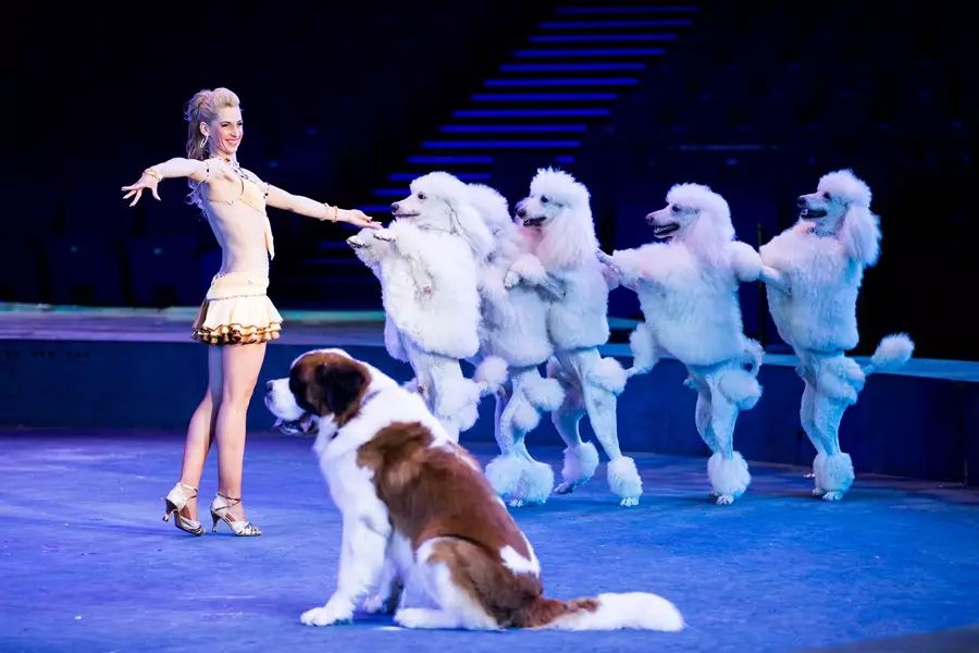 去珠海长隆海洋王国住哪里好,玩转珠海长隆海洋王国全攻略