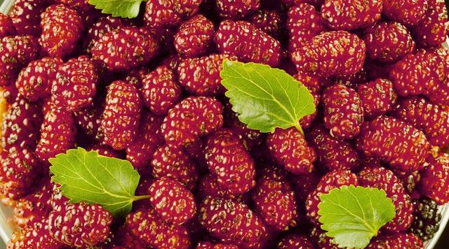 查询骨质疏松吃什么粮食最补,骨质疏松症应多吃哪种食物