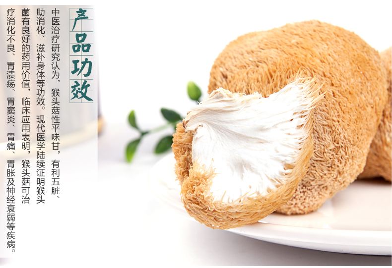 猴头菇粉养胃吗,猴头菇养胃神器