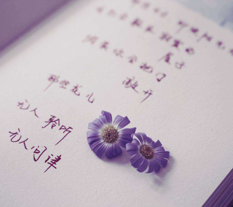 风筝等风粤语,歌曲等风等雨我等你在线试听