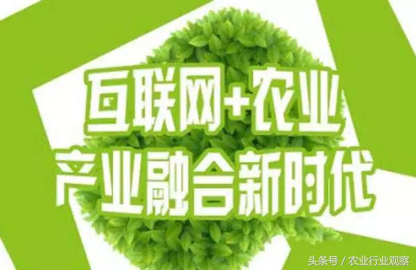 互联网农业创业技巧大全,农业互联网创业盈利的三种模式