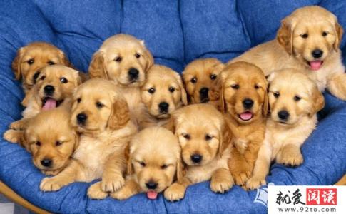 适合创业的实体项目,小城市新手创业做什么项目好