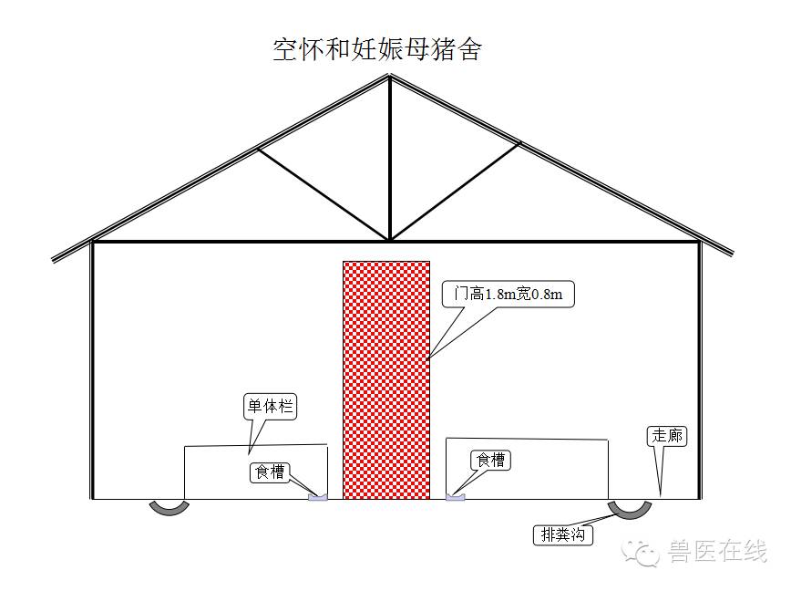 猪场刮粪机排粪沟设计图,100头母猪猪场设计图