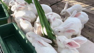 亲子游好去处!番禺周边的农家乐、游乐场、文化园…充实又好玩!