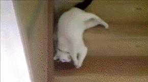 鍋囨湡寤堕暱缇庨,鎵撳崱娲涢槼杩欎簺缇庨鑰佸簵